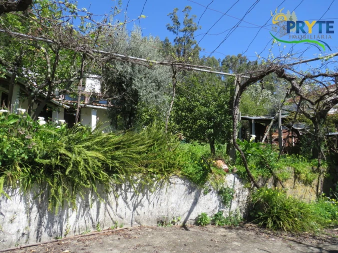 Moradia T4 para Venda em Mação, Penhascoso e Aboboreira Foto 86