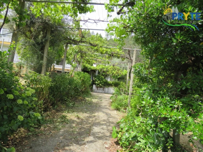 Moradia T4 para Venda em Mação, Penhascoso e Aboboreira Foto 101