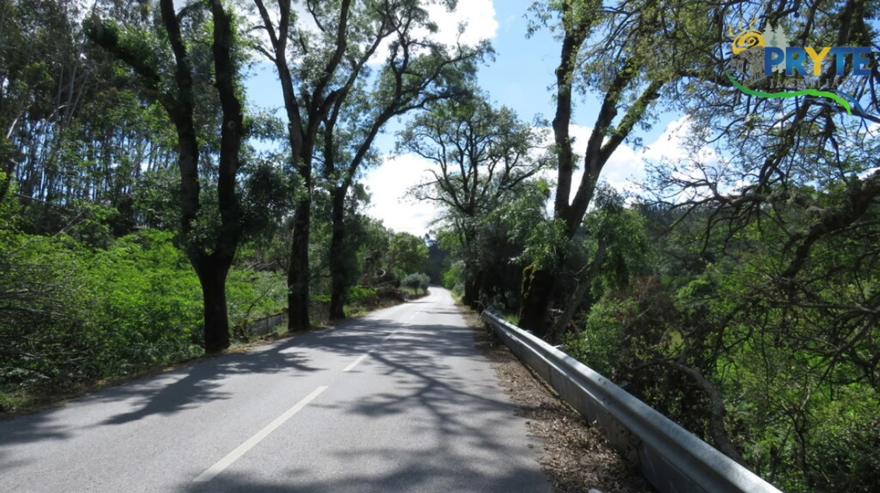 Quinta para Venda em Sertã Foto 3