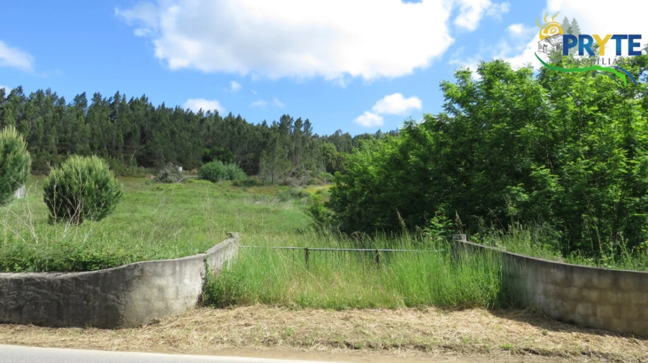 Quinta para Venda em Sertã Foto 23