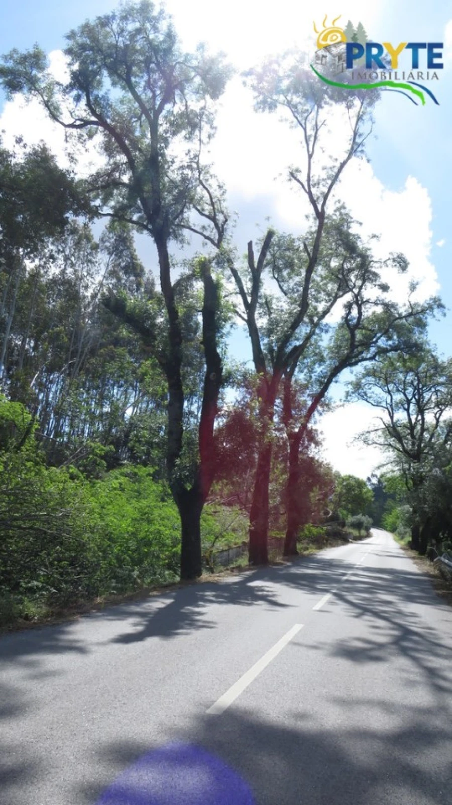 Quinta para Venda em Sertã Foto 5