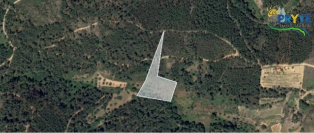 Terreno para Venda em Proença-A-Nova e Peral