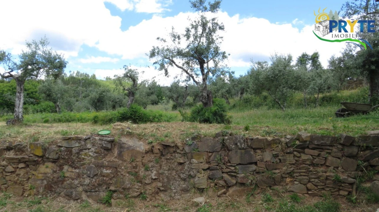 Terreno para Venda em Proença-A-Nova e Peral Foto 2
