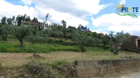 Terreno para Venda em Proença-A-Nova e Peral