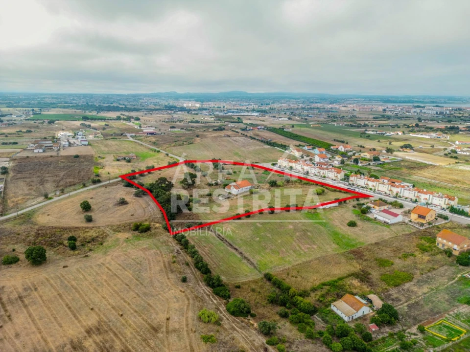 Terreno para Venda em São Francisco Foto 13
