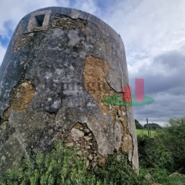 Quinta T1 para Venda em Santiago dos Velhos