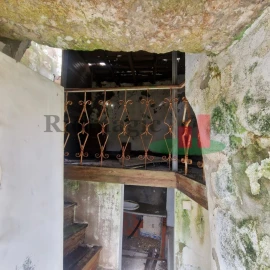 Quinta T1 para Venda em Santiago dos Velhos