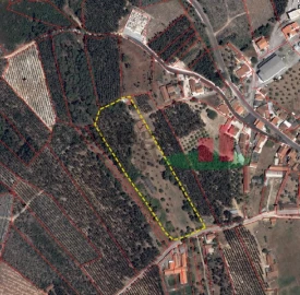 Terreno para Venda em Gançaria