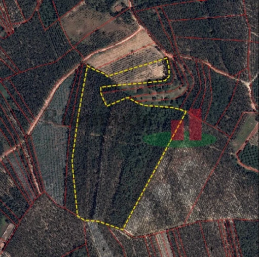 Terreno para Venda em Gançaria Foto 3