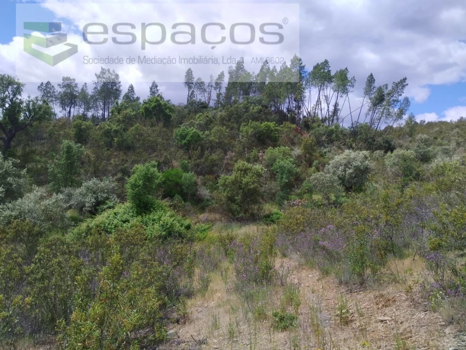 Terreno Agricola ou Rústico para Venda em Perais Foto 3