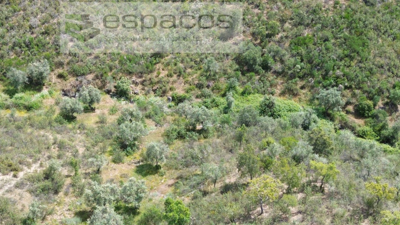 Terreno Agricola ou Rústico para Venda em Perais Foto 6