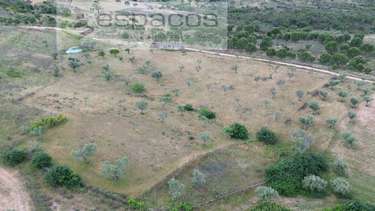 Terreno Agricola ou Rústico para Venda em Perais Foto 13