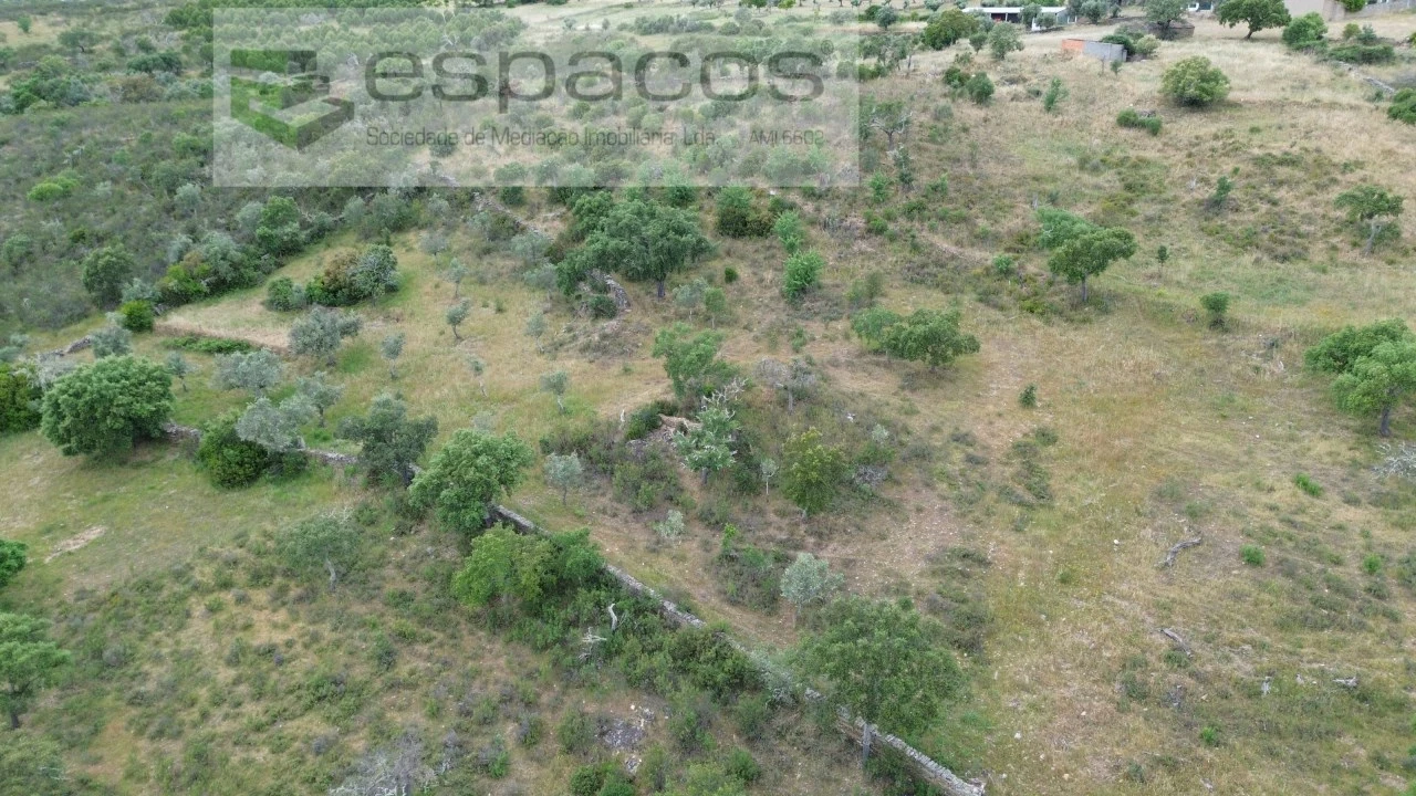 Terreno Agricola ou Rústico para Venda em Perais Foto 20