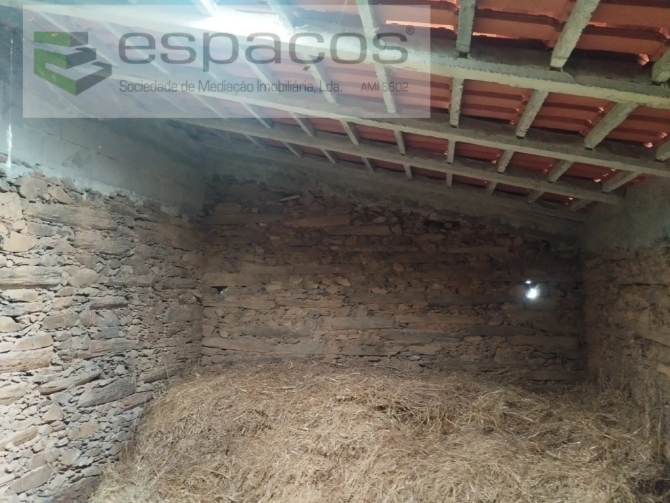 Terreno Agricola ou Rústico para Venda em Perais Foto 27