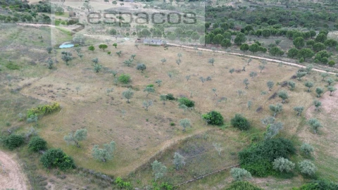 Terreno Agricola ou Rústico para Venda em Perais