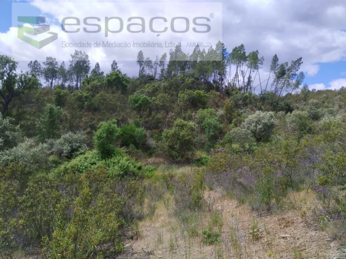 Terreno Agricola ou Rústico para Venda em Perais Foto 3
