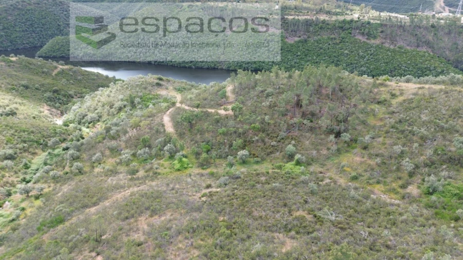 Terreno Agricola ou Rústico para Venda em Perais Foto 4
