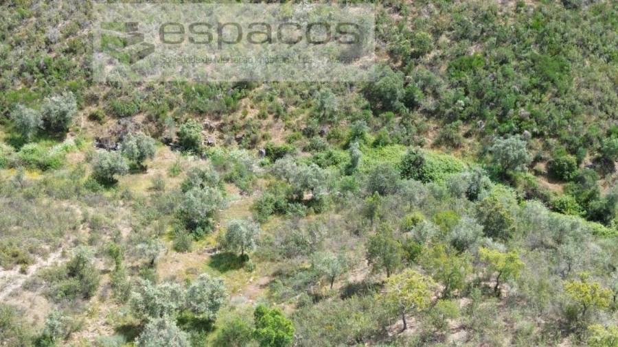 Terreno Agricola ou Rústico para Venda em Perais Foto 6