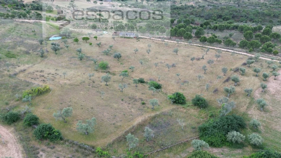 Terreno Agricola ou Rústico para Venda em Perais Foto 13