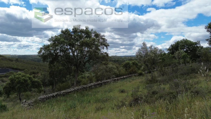 Terreno Agricola ou Rústico para Venda em Perais Foto 19