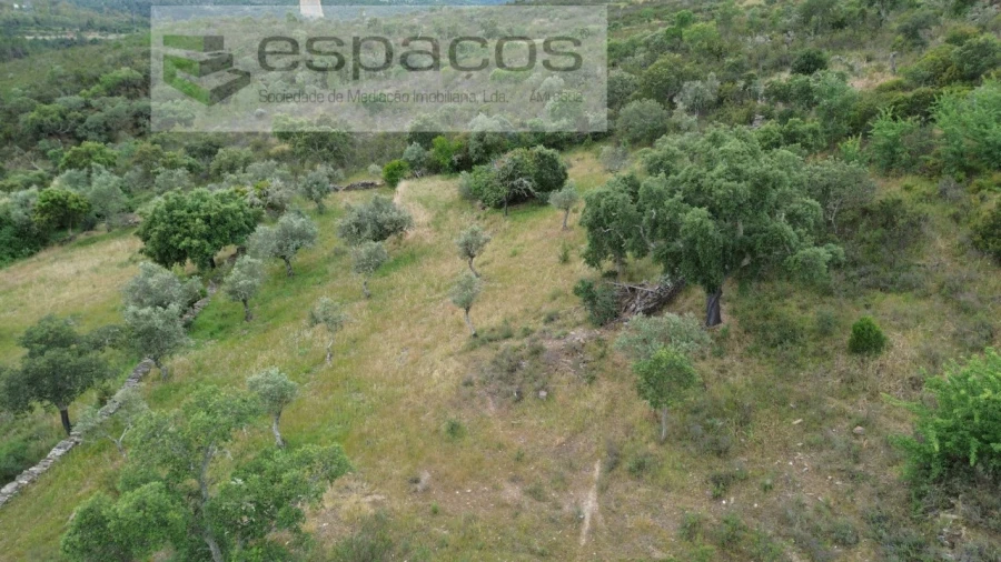 Terreno Agricola ou Rústico para Venda em Perais Foto 21