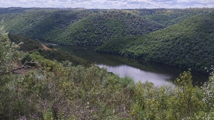 Terreno Agricola ou Rústico para Venda em Perais