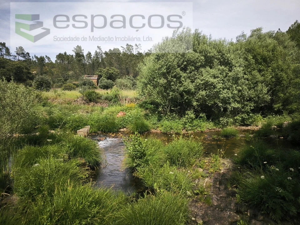 Terreno Agricola ou Rústico para Venda em Sarzedas Foto 2