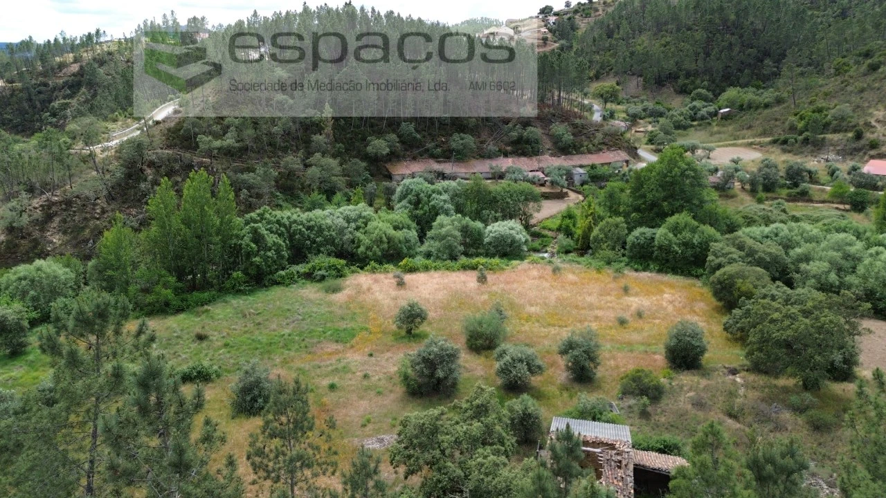 Terreno Agricola ou Rústico para Venda em Sarzedas Foto 4