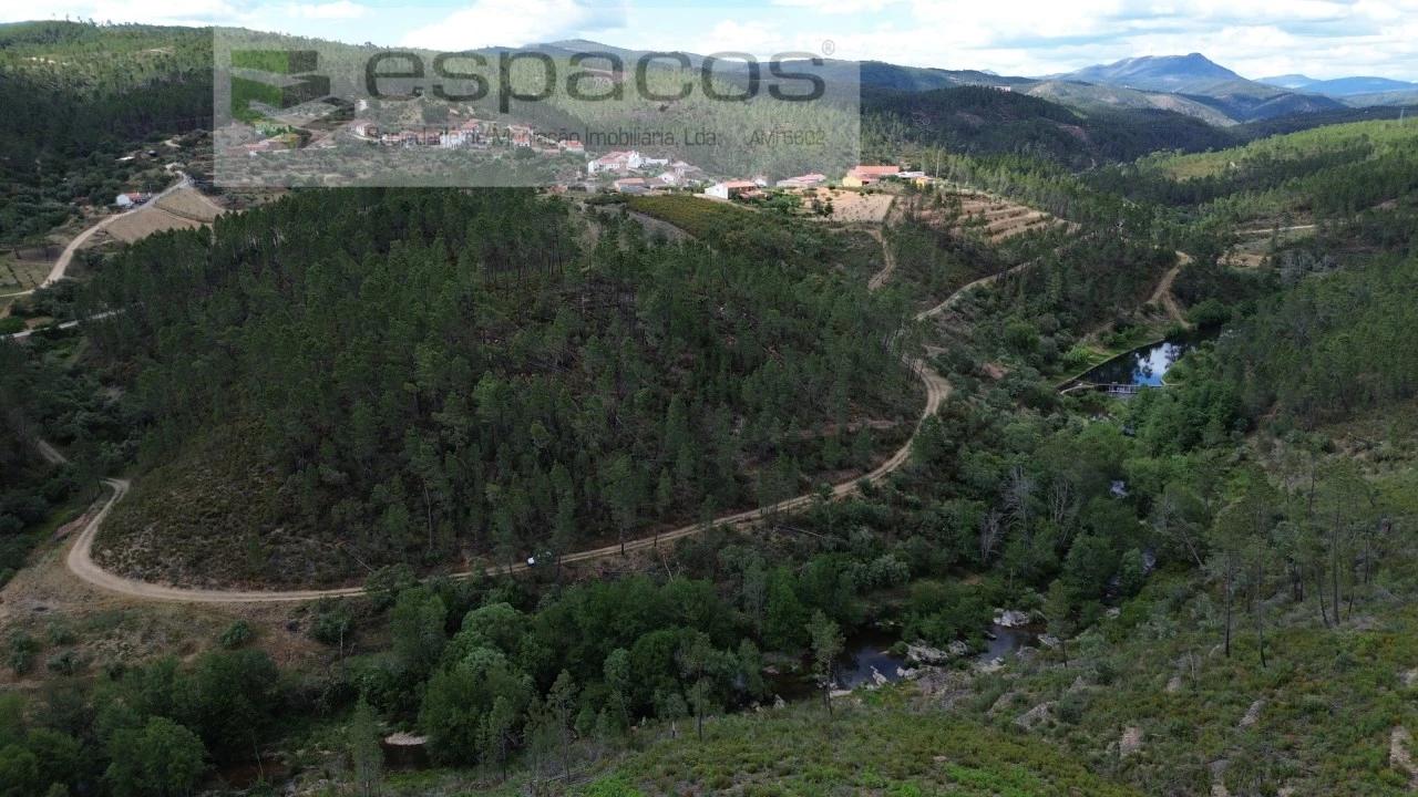 Terreno Agricola ou Rústico para Venda em Sarzedas Foto 7
