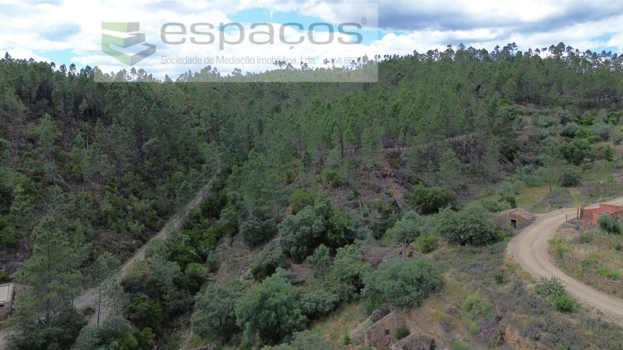 Terreno Agricola ou Rústico para Venda em Sarzedas Foto 10
