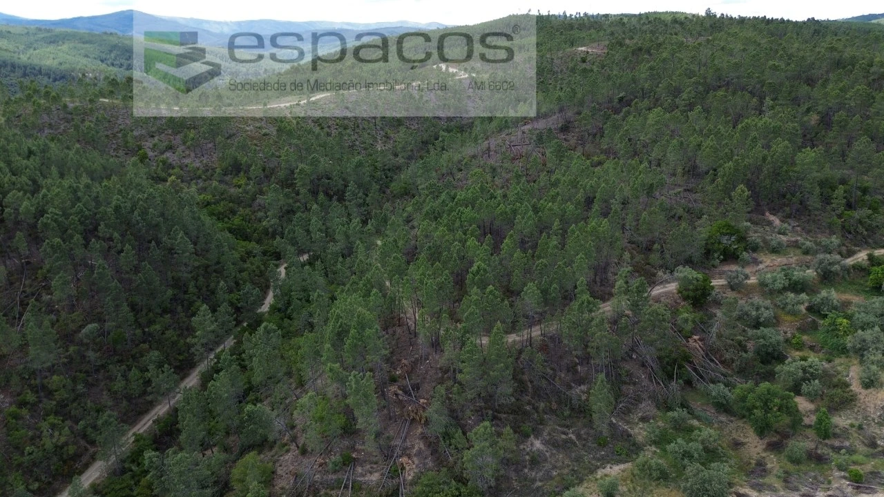 Terreno Agricola ou Rústico para Venda em Sarzedas Foto 11