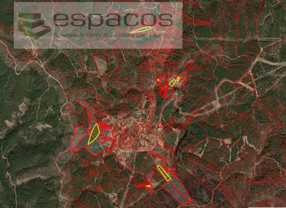 Terreno Agricola ou Rústico para Venda em Sarzedas Foto 12