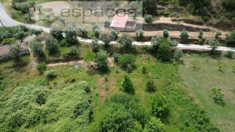 Terreno Agricola ou Rústico para Venda em Sarzedas