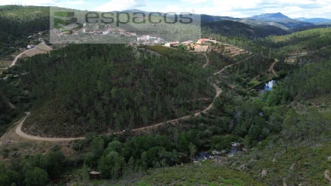 Terreno Agricola ou Rústico para Venda em Sarzedas