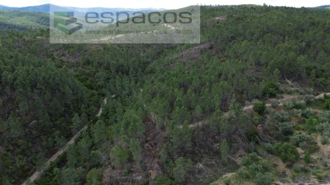 Terreno Agricola ou Rústico para Venda em Sarzedas