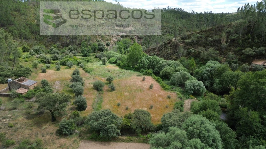 Terreno Agricola ou Rústico para Venda em Sarzedas Foto 3