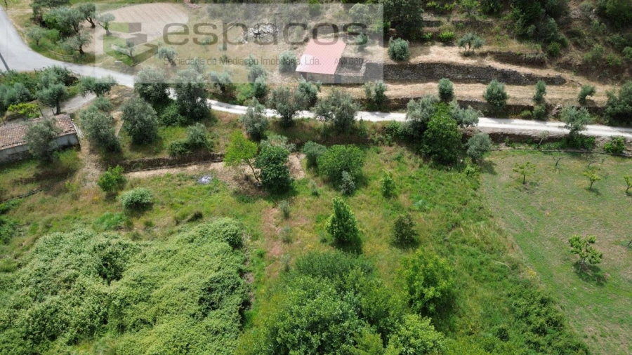 Terreno Agricola ou Rústico para Venda em Sarzedas Foto 6