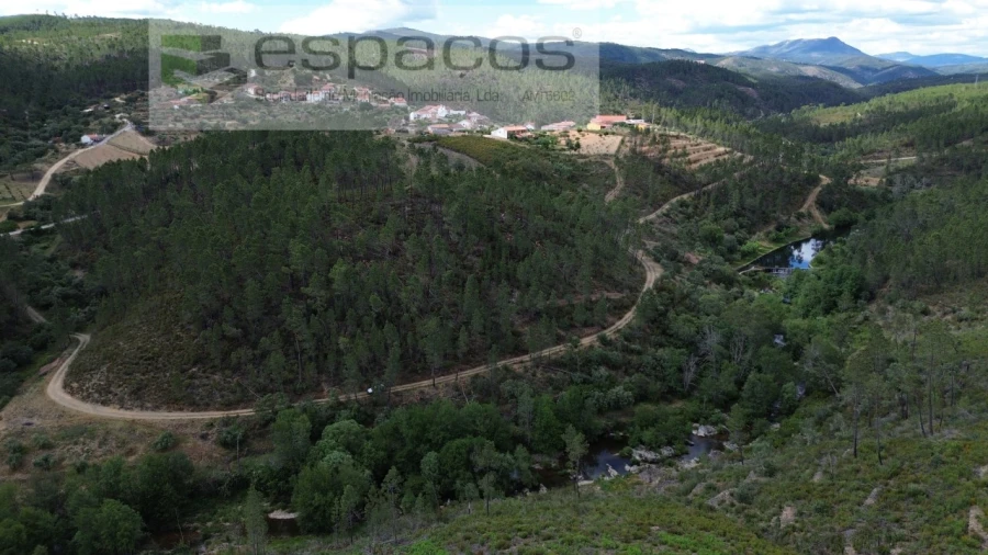 Terreno Agricola ou Rústico para Venda em Sarzedas Foto 7