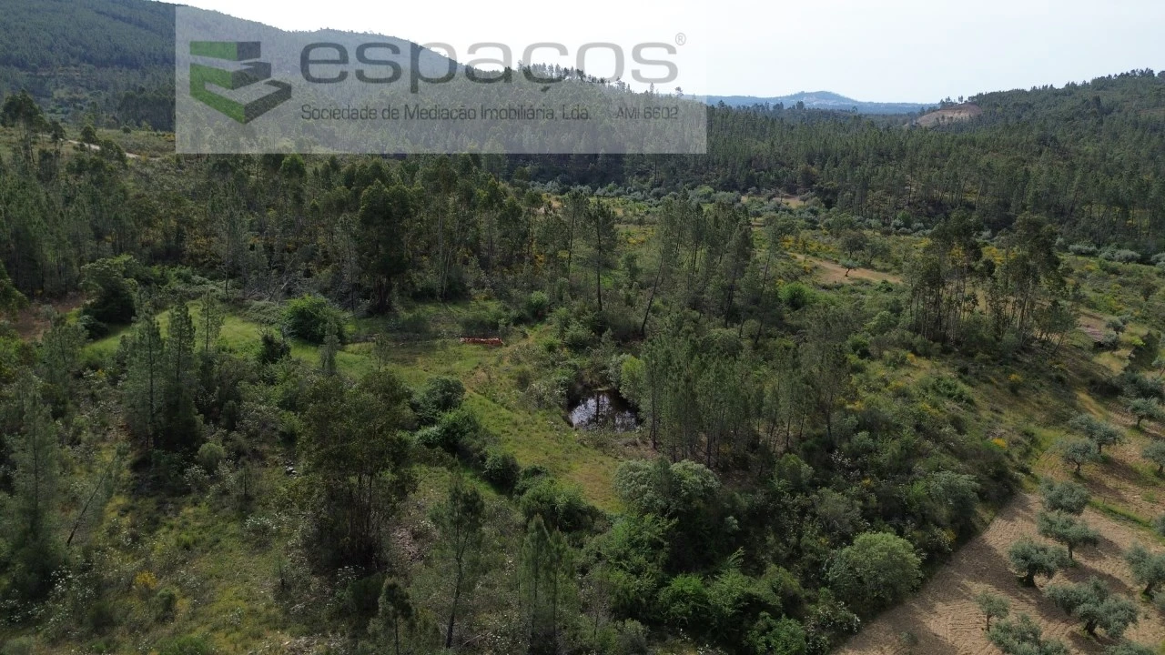 Terreno Agricola ou Rústico para Venda em Freixial e Juncal do Campo Foto 3