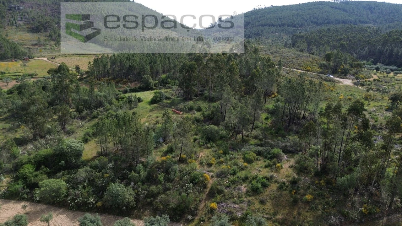 Terreno Agricola ou Rústico para Venda em Freixial e Juncal do Campo Foto 4