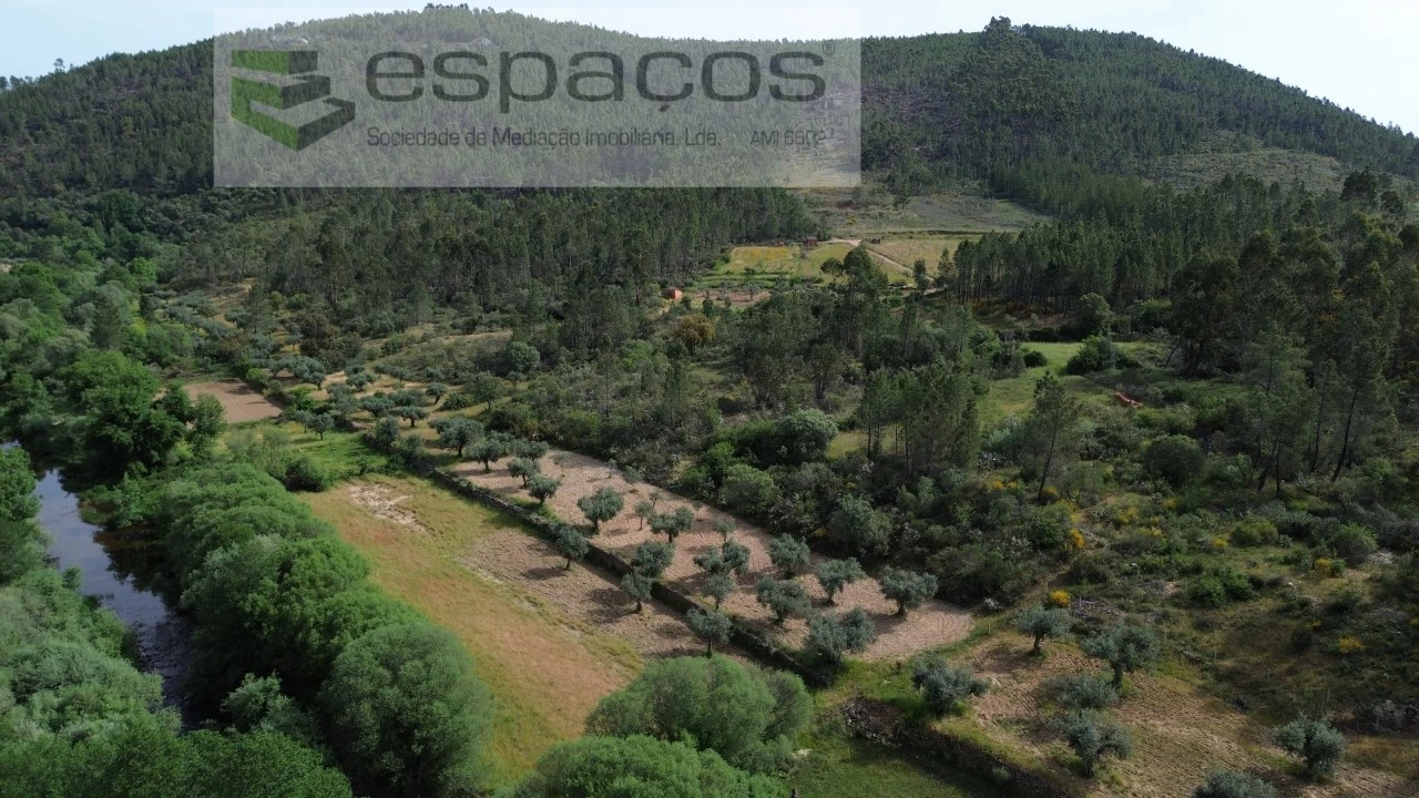 Terreno Agricola ou Rústico para Venda em Freixial e Juncal do Campo Foto 5