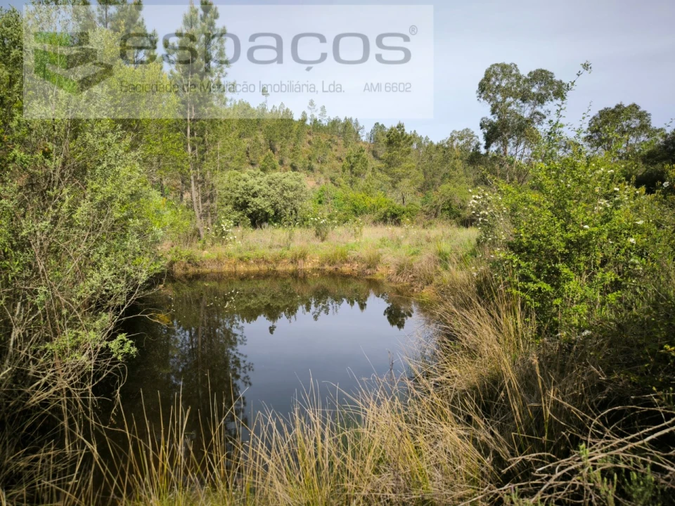 Terreno Agricola ou Rústico para Venda em Freixial e Juncal do Campo Foto 9
