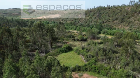Terreno Agricola ou Rústico para Venda em Freixial e Juncal do Campo