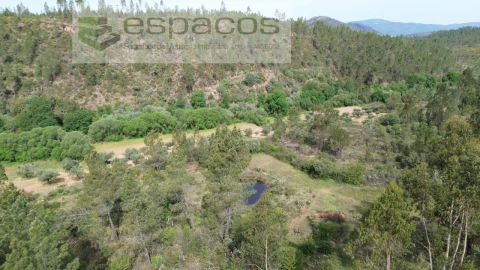 Terreno Agricola ou Rústico para Venda em Freixial e Juncal do Campo