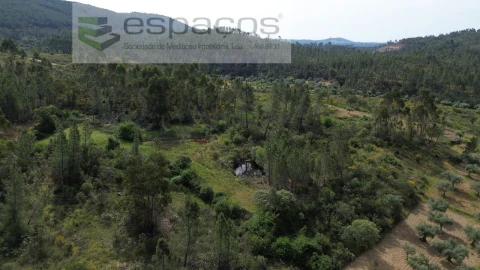 Terreno Agricola ou Rústico para Venda em Freixial e Juncal do Campo