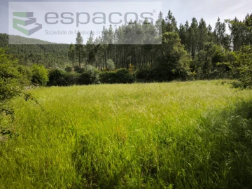 Terreno Agricola ou Rústico para Venda em Freixial e Juncal do Campo