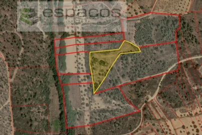 Terreno Agricola ou Rústico para Venda em Freixial e Juncal do Campo