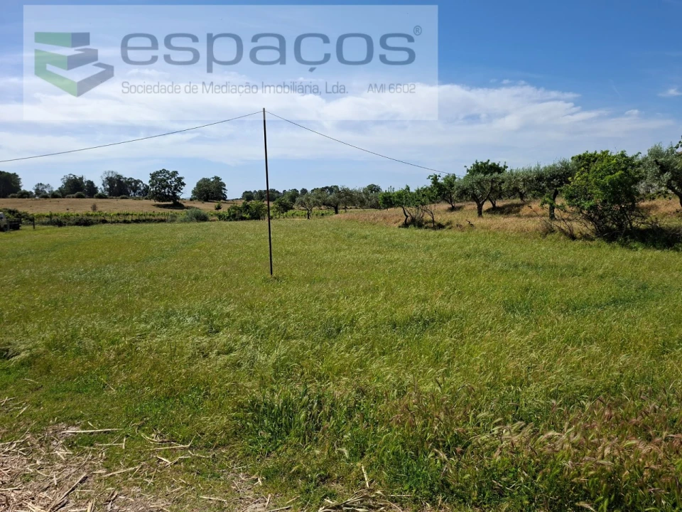 Terreno para Venda em Vale de Prazeres e Mata da Rainha Foto 2