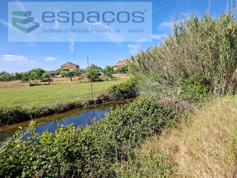 Terreno para Venda em Vale de Prazeres e Mata da Rainha Foto 7