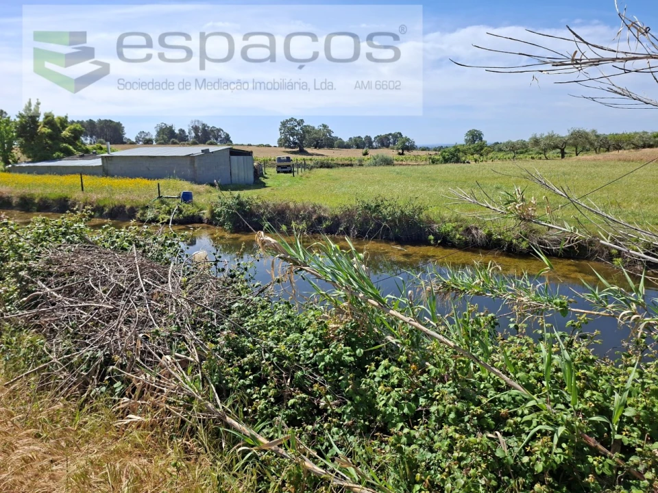 Terreno para Venda em Vale de Prazeres e Mata da Rainha Foto 8